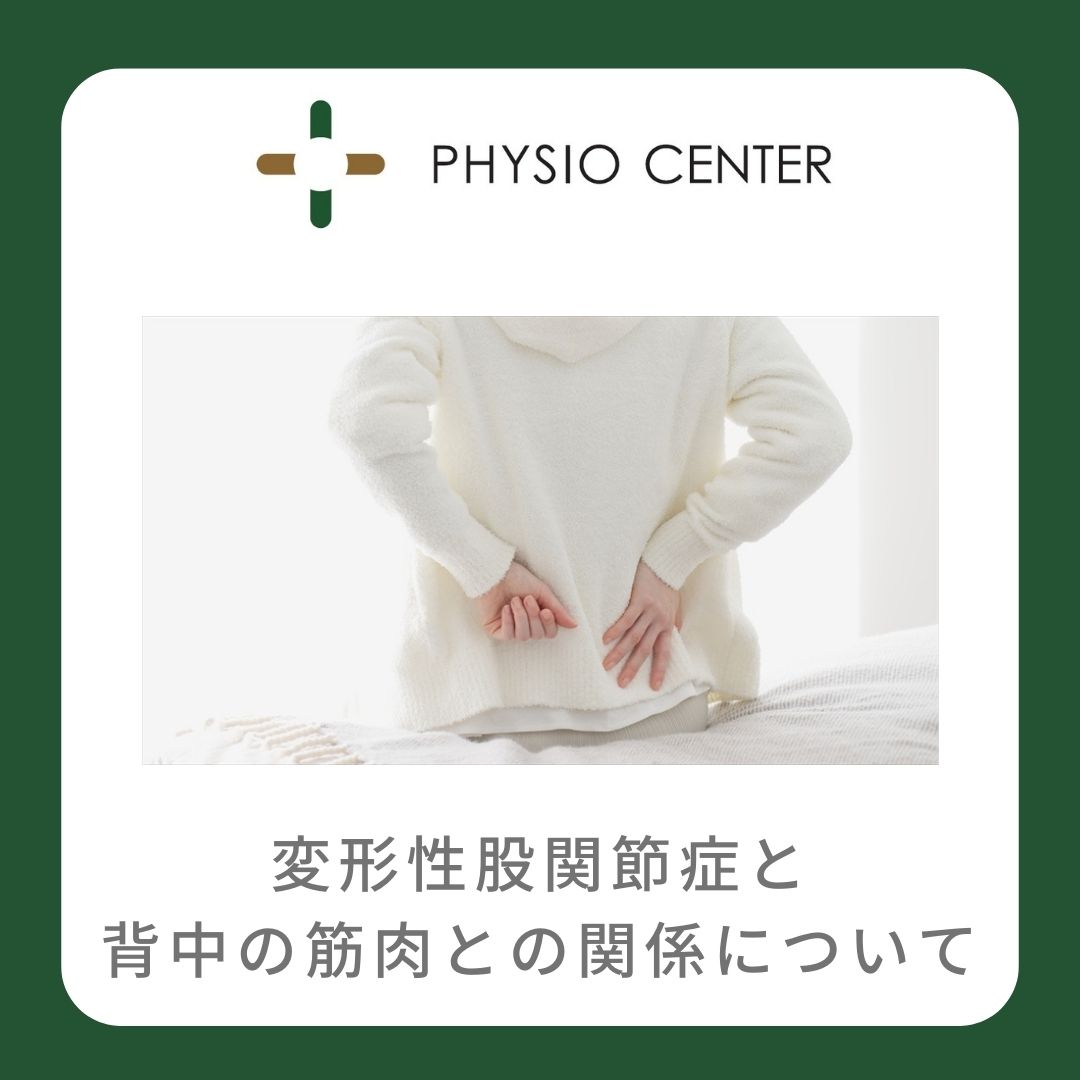 変形性股関節症と背中の筋肉(脊柱起立筋)との関係について