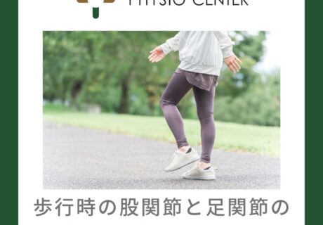 歩行時の股関節と足関節の働きの性差について