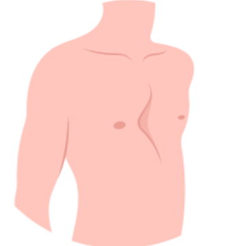 漏斗胸には、リハビリと体操療法が重要です。生活習慣の中で良い姿勢の意識付けも大切。