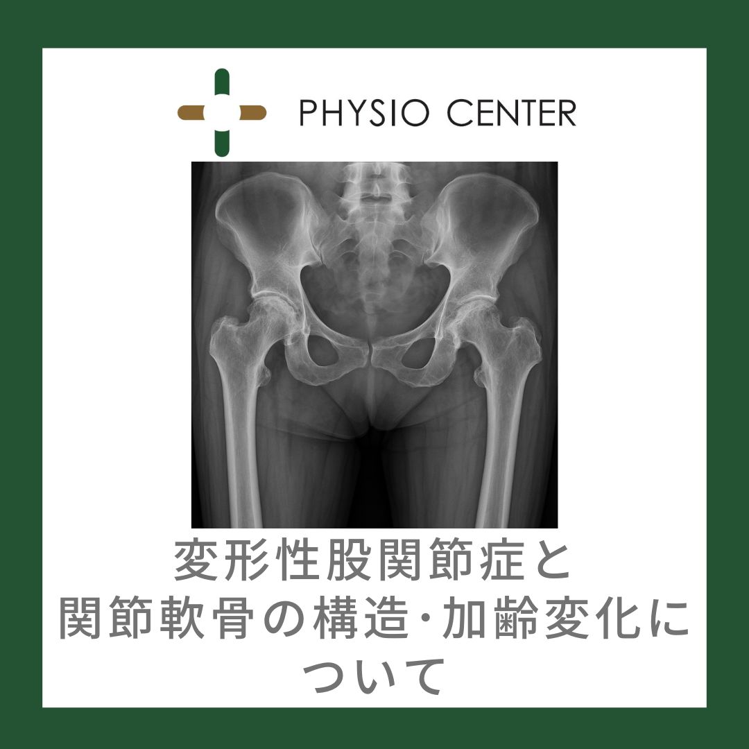 変形性股関節症と関節軟骨の構造・加齢変化について