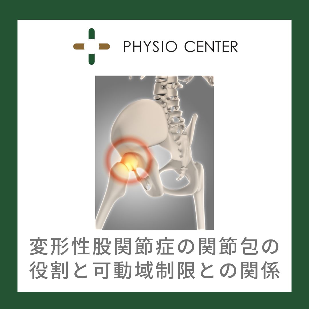 変形性股関節症の関節包の役割と可動域制限との関係