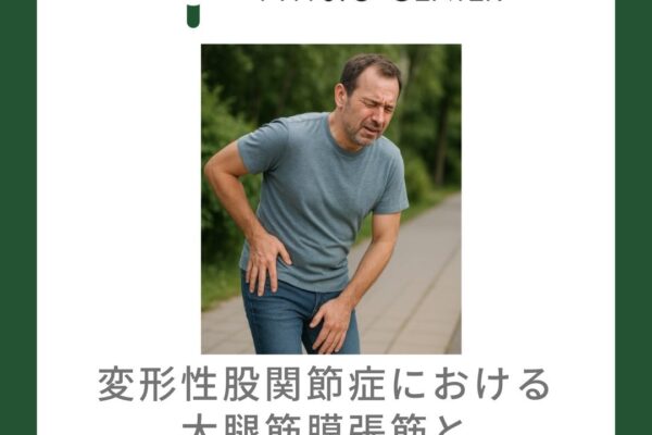 変形性股関節症における大腿筋膜張筋と外側荷重位の影響