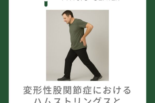変形性股関節症におけるハムストリングスと骨盤後傾との関係