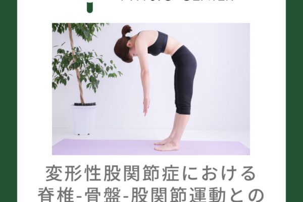 変形性股関節症における脊椎-骨盤-股関節運動との関係について