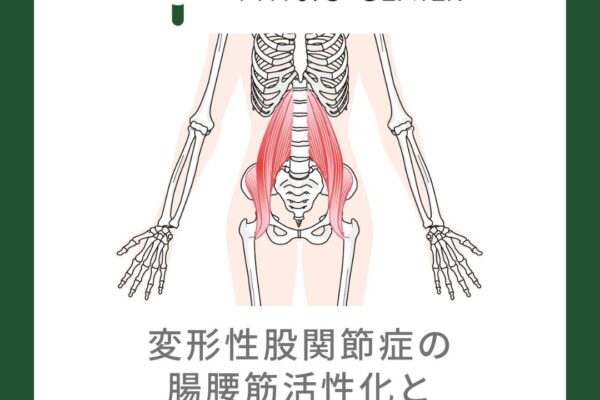 変形性股関節症の腸腰筋活性化と選択的収縮エクサイズについて