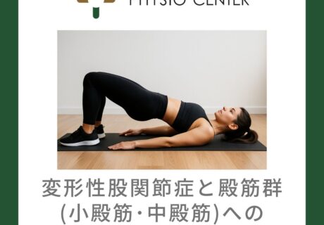 変形性関節症と殿筋群(小殿筋・中殿筋)への運動介入の効果について