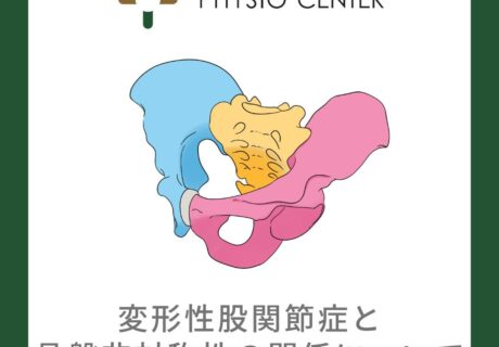 変形性股関節症と骨盤非対称性の関係について