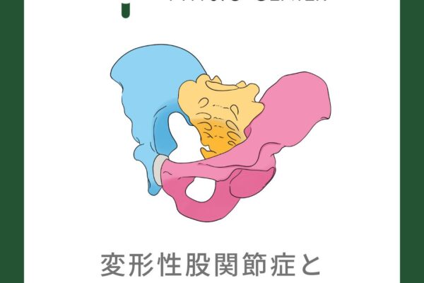 変形性股関節症と骨盤非対称性の関係について