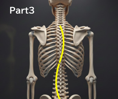 なぜ「経過観察」中に側弯体操を勧められないことがあるのか？分かりやすく解説　：Part３　‐ 研究が少ないというより、「研究しにくい」分野です‐　