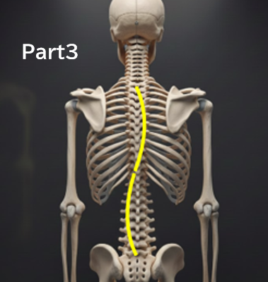 なぜ「経過観察」中に側弯体操を勧められないことがあるのか？分かりやすく解説　：Part３　‐ 研究が少ないというより、「研究しにくい」分野です‐　