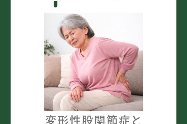 変形性股関節症と関節軟骨との関係について